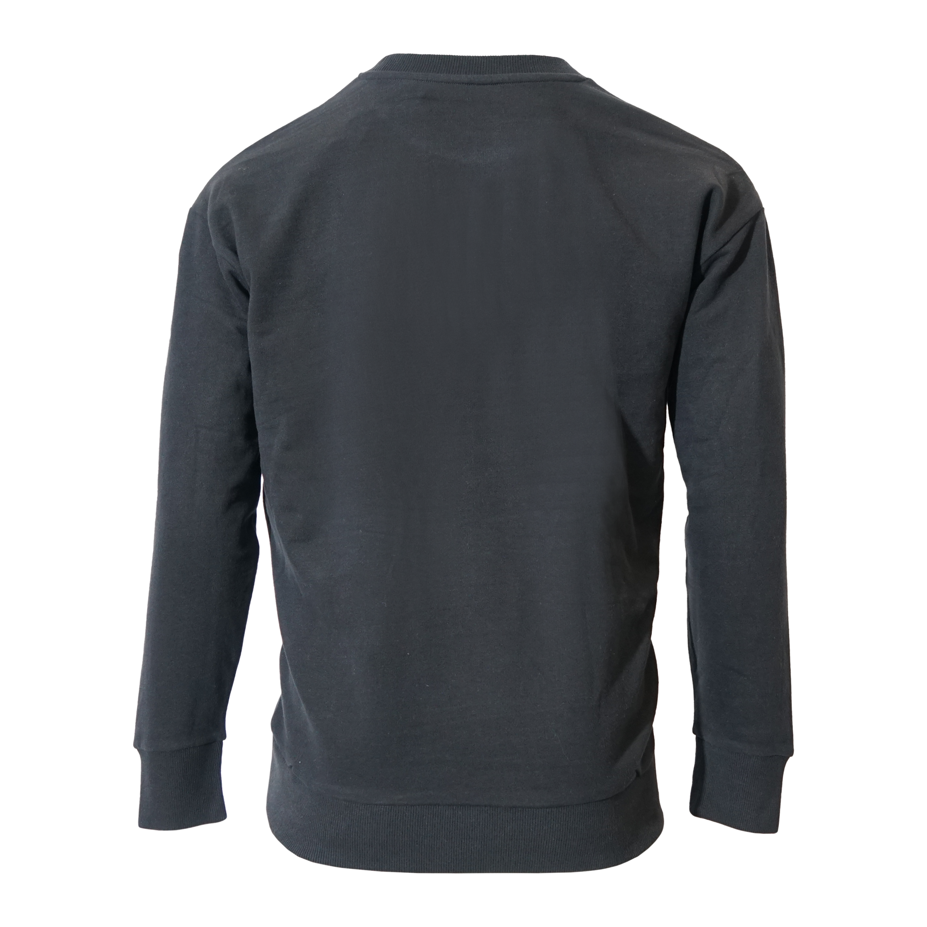 Unisex Professional Recycled Relaxed Fit Sweatshirt - Black